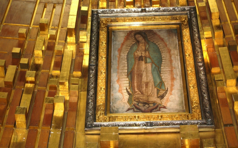 Guadalupe: One of Our Catholic Family Stories